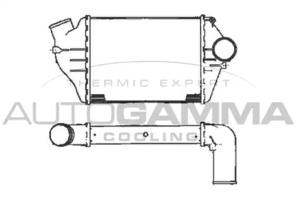 AUTOGAMMA 101891