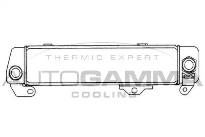 AUTOGAMMA 101894