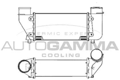 AUTOGAMMA 101898