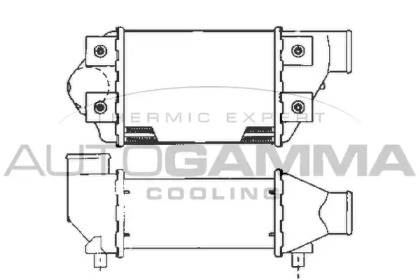 AUTOGAMMA 101901