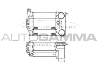 AUTOGAMMA 101902