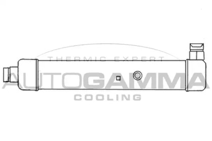 AUTOGAMMA 101905