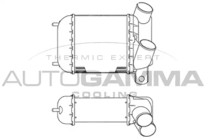 AUTOGAMMA 101950