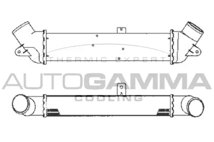 AUTOGAMMA 101952