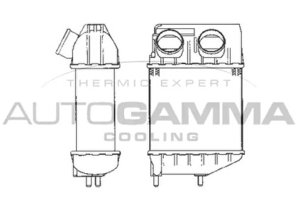 AUTOGAMMA 101954