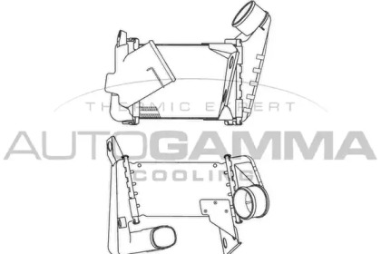 AUTOGAMMA 101960