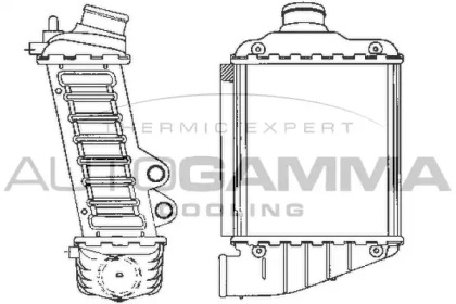 AUTOGAMMA 101964