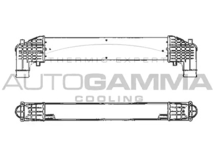 AUTOGAMMA 101965