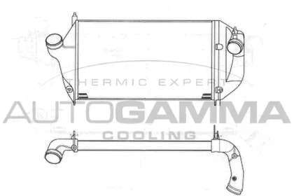 AUTOGAMMA 101967