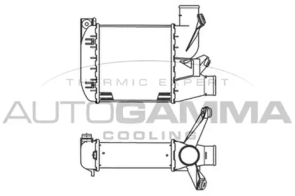 AUTOGAMMA 102024