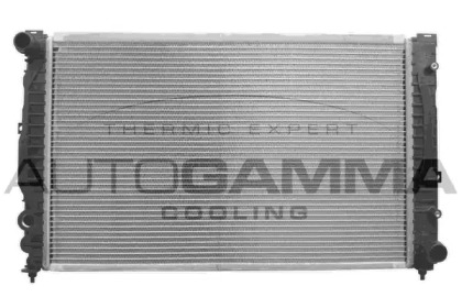 AUTOGAMMA 102055