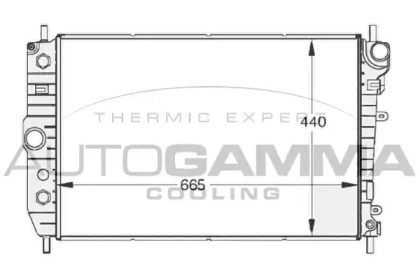 AUTOGAMMA 102129