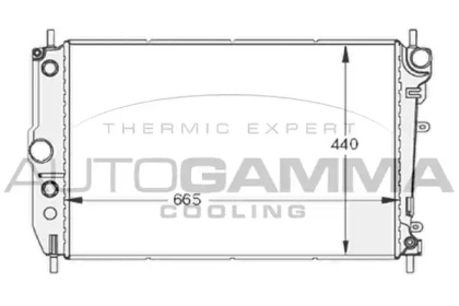 AUTOGAMMA 102130