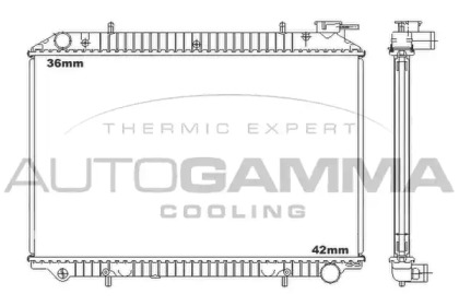 AUTOGAMMA 102206