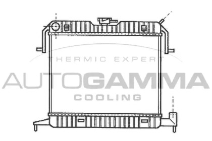 AUTOGAMMA 102233