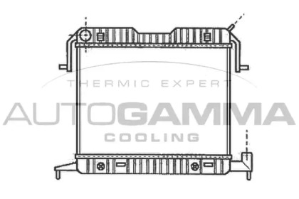 AUTOGAMMA 102236