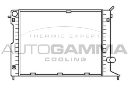 AUTOGAMMA 102241