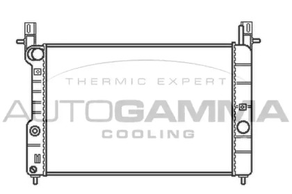 AUTOGAMMA 102255