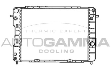 AUTOGAMMA 102256