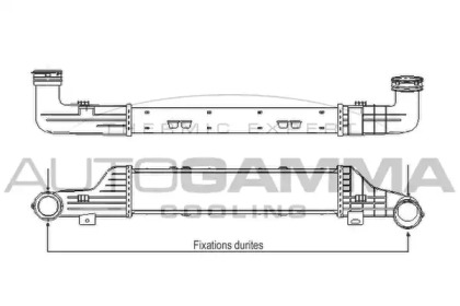 AUTOGAMMA 102399