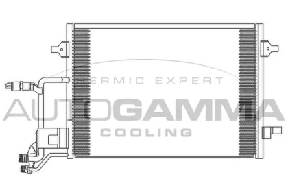 AUTOGAMMA 102420