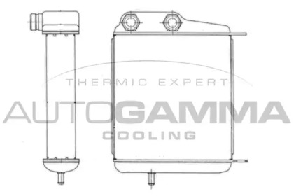 AUTOGAMMA 102502