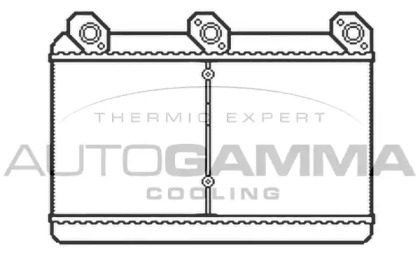 AUTOGAMMA 102544