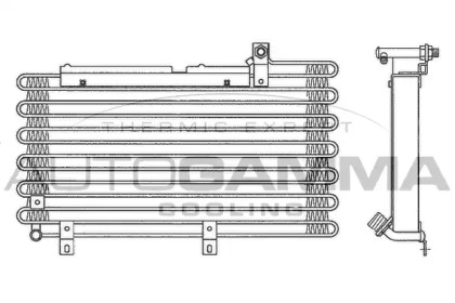 AUTOGAMMA 102598