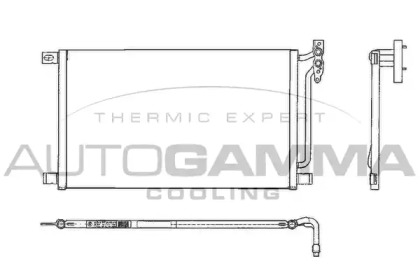 AUTOGAMMA 102605