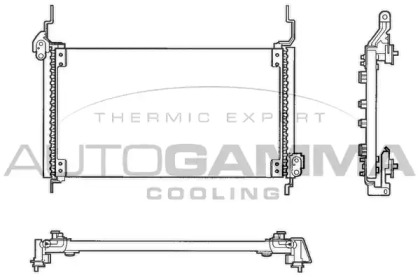 AUTOGAMMA 102630