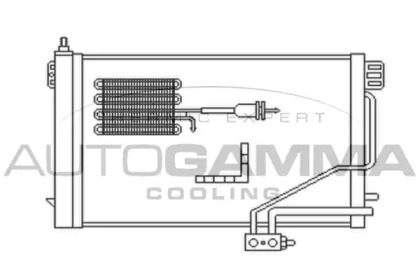 AUTOGAMMA 102702