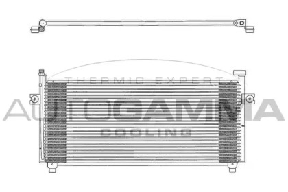 AUTOGAMMA 102721