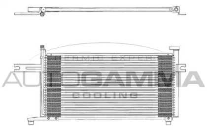 AUTOGAMMA 102722