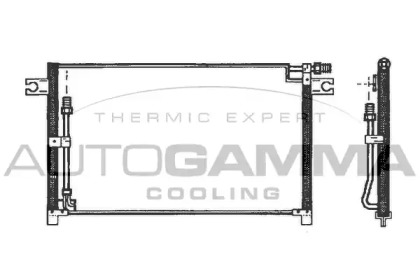 AUTOGAMMA 102723