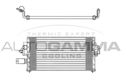 AUTOGAMMA 102725