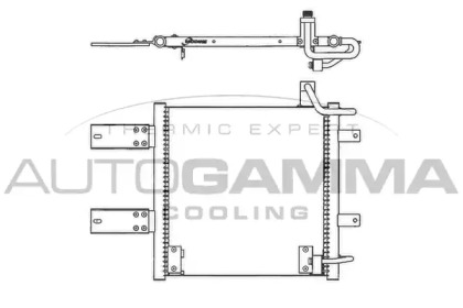 AUTOGAMMA 102781