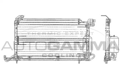 AUTOGAMMA 102814
