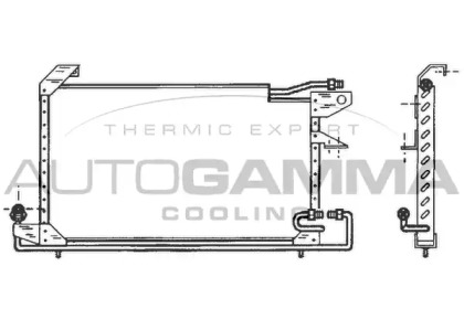 AUTOGAMMA 102815