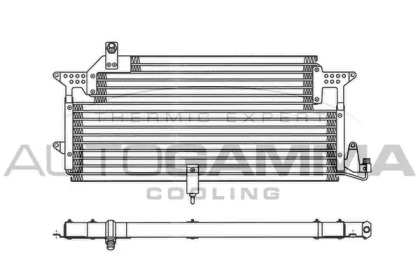 AUTOGAMMA 102823