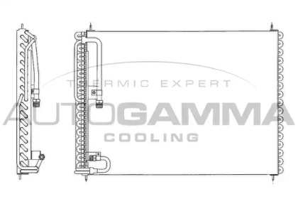 AUTOGAMMA 102828