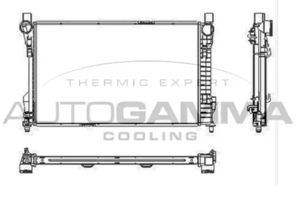 AUTOGAMMA 102920