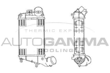 AUTOGAMMA 103008