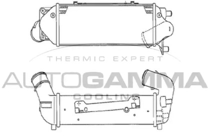 AUTOGAMMA 103017