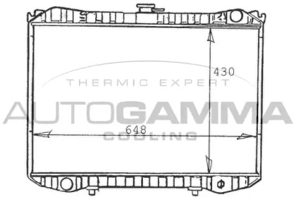 AUTOGAMMA 103257