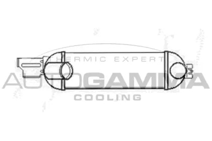 AUTOGAMMA 103521