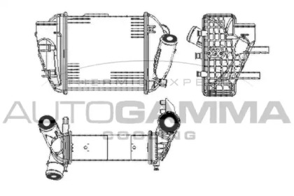 AUTOGAMMA 103598