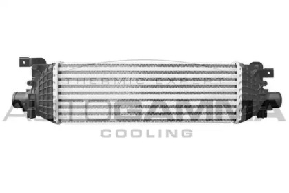 AUTOGAMMA 103719