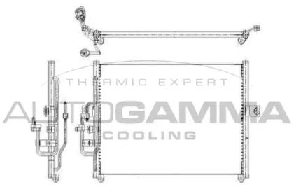 AUTOGAMMA 103842