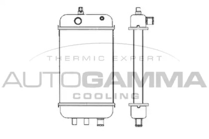 AUTOGAMMA 103869