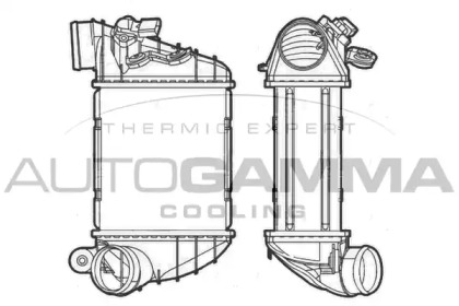 AUTOGAMMA 103876